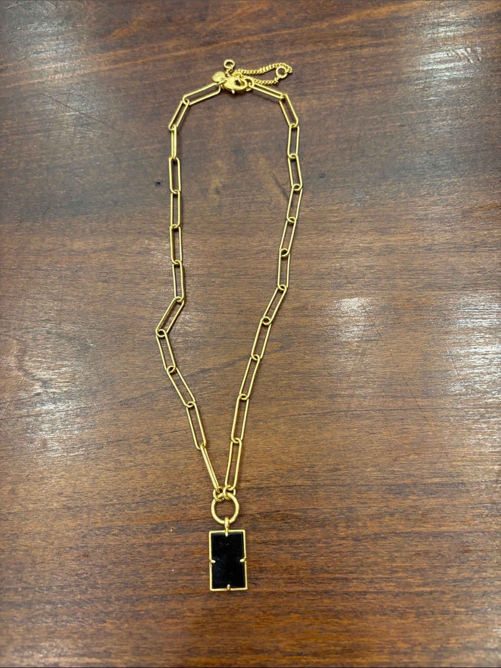 Madewell Gold Link Chain Necklace with Black Pendant